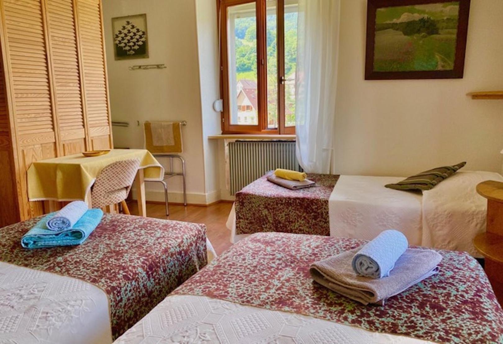 Appartements Maison Bellevue Munster  Luaran gambar